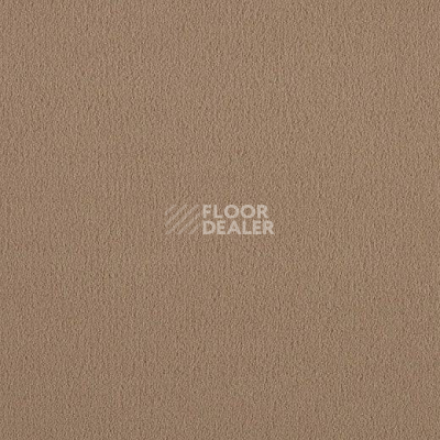Ковролин Lano Brezina 260 фото 1 | FLOORDEALER