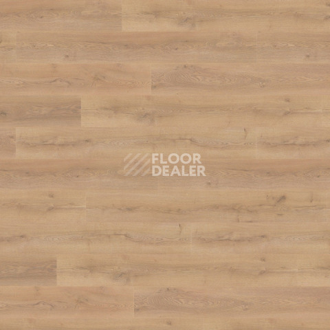 Ламинат Wineo 700 Wood XXL V4 8мм LA226XXLV4 Дуб шведский коричневый фото 1 | FLOORDEALER