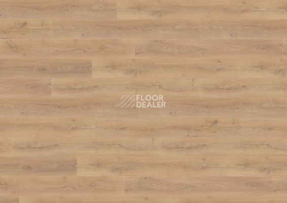 Ламинат Wineo 700 Wood XXL V4 8мм LA226XXLV4 Дуб шведский коричневый фото 1 | FLOORDEALER