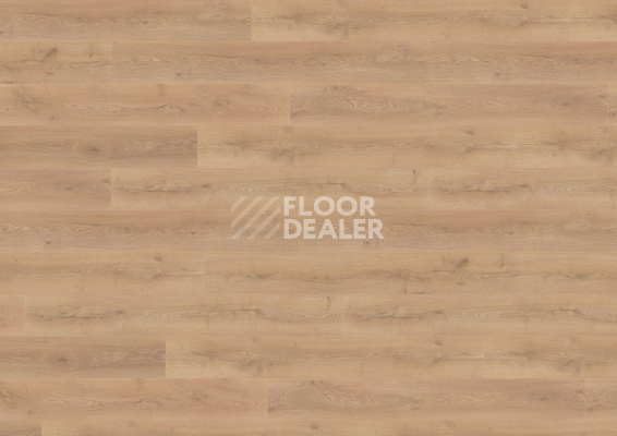 Ламинат Wineo 700 Wood XXL V4 8мм LA226XXLV4 Дуб шведский коричневый фото 1 | FLOORDEALER