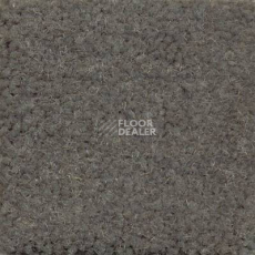 Ковролин Emphatic Beaulieu of America 56315 фото 1 | FLOORDEALER