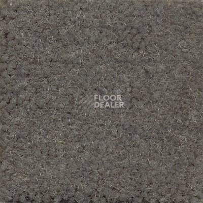Ковролин Emphatic Beaulieu of America 56315 фото 1 | FLOORDEALER