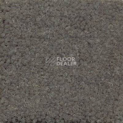 Ковролин Emphatic Beaulieu of America 56315 фото 1 | FLOORDEALER