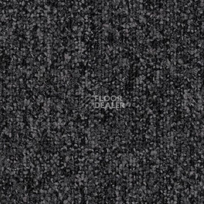 Ковровая плитка Tecsom Camera 00038 фото 1 | FLOORDEALER