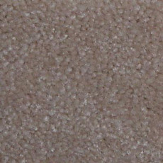 Serene Beaulieu of America 25 фото 1 | FLOORDEALER