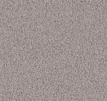 Ковролин Vorwerk Viola 5t69 фото 1 | FLOORDEALER