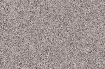 Ковролин Vorwerk Viola 5t69 фото 1 | FLOORDEALER