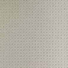 Ковролин Balsan Territoires Atrium 911 фото 1 | FLOORDEALER