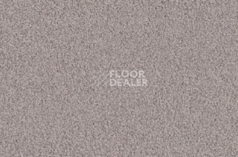 Ковролин Vorwerk Viola 5t69 фото 1 | FLOORDEALER