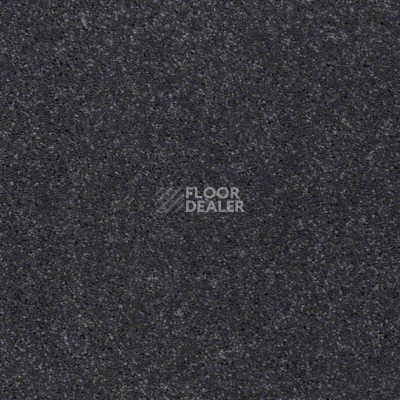 Ковролин Shaw Design Texture Platinum 505 фото 1 | FLOORDEALER