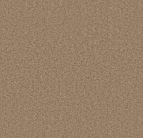 Ковролин Forbo Showtime Nuance 900213 фото 1 | FLOORDEALER