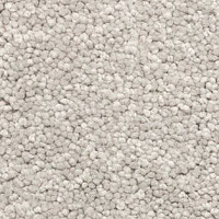 Ковролин AW Vivendi Vigour 90 фото 1 | FLOORDEALER