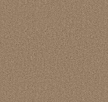 Ковролин Forbo Showtime Nuance 900213 фото 1 | FLOORDEALER