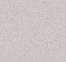 Ковролин Vorwerk Viola 6s39 фото 1 | FLOORDEALER