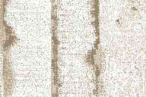 Ковролин Big Carus Sunrise 003-24330 фото  | FLOORDEALER