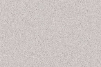 Ковролин Vorwerk Viola 6s39 фото 1 | FLOORDEALER