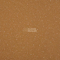 Линолеум Lg Compact CT90516 фото 1 | FLOORDEALER