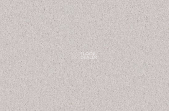 Ковролин Vorwerk Viola 6s39 фото 1 | FLOORDEALER