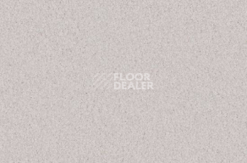 Ковролин Vorwerk Viola 6s39 фото 1 | FLOORDEALER