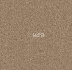 Ковролин Forbo Showtime Nuance 900213 фото 1 | FLOORDEALER