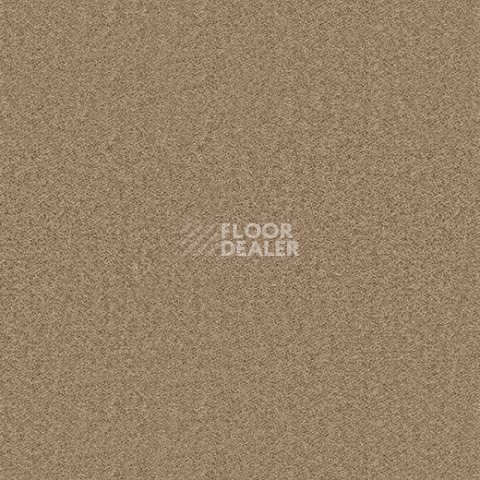 Ковролин Forbo Showtime Nuance 900213 фото 1 | FLOORDEALER