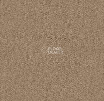 Ковролин Forbo Showtime Nuance 900213 фото 1 | FLOORDEALER