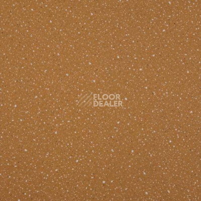 Линолеум Lg Compact CT90516 фото 1 | FLOORDEALER