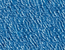 Ковролин Halbmond Pure Elements 13845 фото 1 | FLOORDEALER