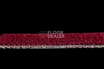 Balsan Les Best S 585 фото 3 | FLOORDEALER