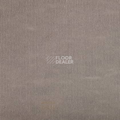 Ковролин Tapibel Ascot 3543 фото 1 | FLOORDEALER