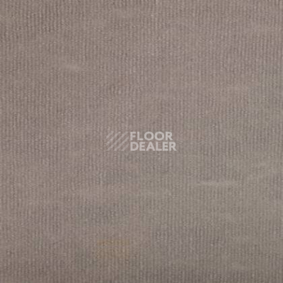 Ковролин Tapibel Ascot 3543 фото 1 | FLOORDEALER