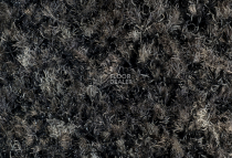 Forbo Coral Brush 5721 Hurricane Grey фото 2 | FLOORDEALER