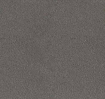 Ковролин Desso Asteranne 9512 фото 1 | FLOORDEALER