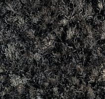 Forbo Coral Brush 5721 Hurricane Grey фото 2 | FLOORDEALER