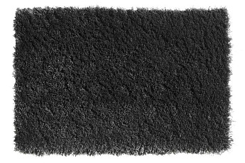 Balta Wild Luxury Teddy 98 фото 1 | FLOORDEALER