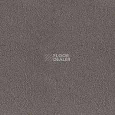 Ковролин Desso Asteranne 9512 фото 1 | FLOORDEALER
