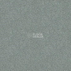 Ковровая плитка Interface Polichrome 7555 Gravel фото 1 | FLOORDEALER