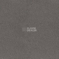 Ковролин Desso Asteranne 9512 фото 1 | FLOORDEALER