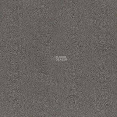 Desso Asteranne 9512 фото 1 | FLOORDEALER