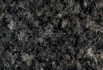 Forbo Coral Brush 5721 Hurricane Grey фото 2 | FLOORDEALER