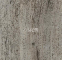 Кварцвиниловые полы Forbo Effekta Professional 0.8 мм 8101 P Планка фото 1 | FLOORDEALER