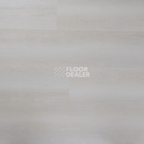 Кварцвиниловые полы Evofloor Optima Click 4.2мм Дуб Сишел фото 1 | FLOORDEALER