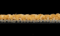 IVC Liberate 232 фото 4 | FLOORDEALER