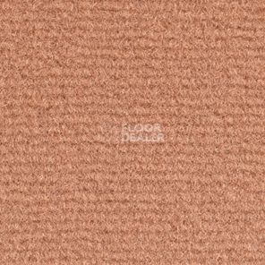 Ковролин Balsan Acadie DD Acadie 462 фото 1 | FLOORDEALER