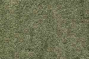 Ковролин AW Masquerade Fedone 21 фото  | FLOORDEALER