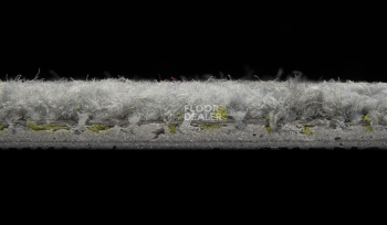 ColorKey ColorKey a 02 фото 3 | FLOORDEALER