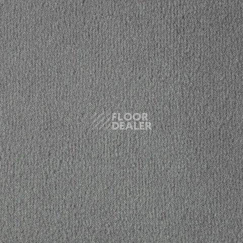 Ковролин Vorwerk Passion 1000/Modena Vorwerk 5t11 фото 1 | FLOORDEALER