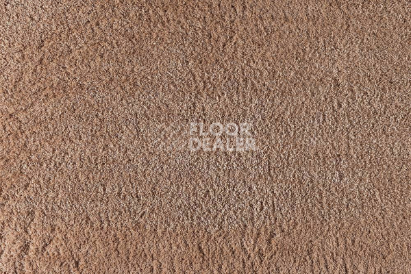 Ковролин ITC Silky Lush Silky Lush 057 фото 1 | FLOORDEALER