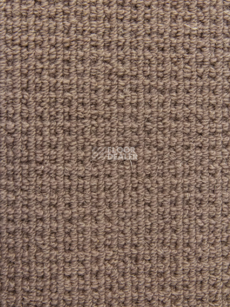 Ковролин Bonkeel Welfare Brown фото 1 | FLOORDEALER