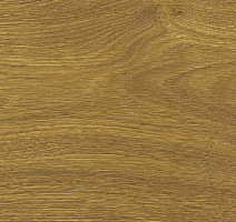 Пробковое покрытие Wood Xl Oak  Knotty фото 1 | FLOORDEALER